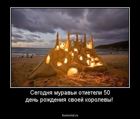 Сегодня муравьи отиетели 50 день рождения своей королевы!
