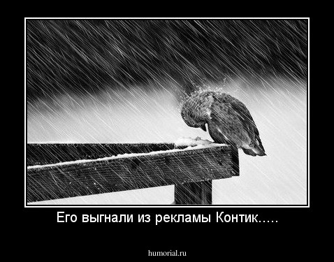 Его выгнали из рекламы Контик.....