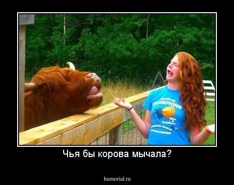 Чья бы корова мычала?