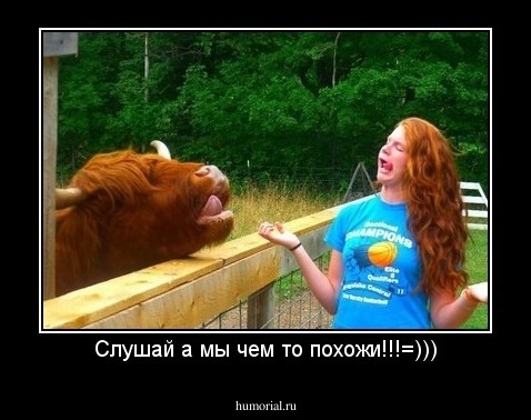 Слушай а мы чем то похожи!!!=)))