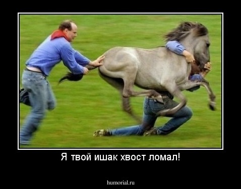 Я твой ишак хвост ломал!