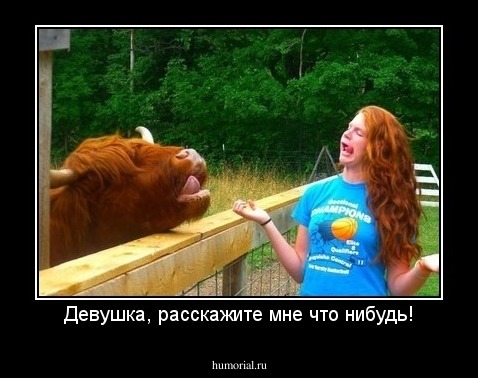 Девушка, расскажите мне что нибудь!