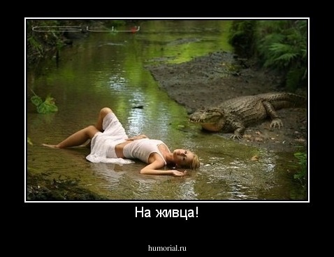 На живца!