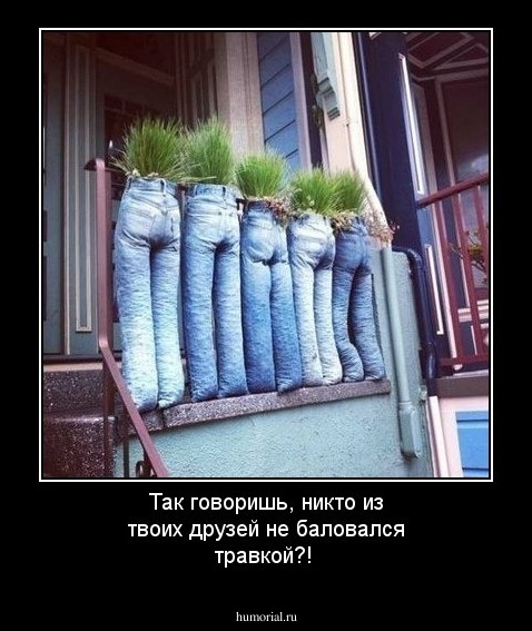 Так говоришь, никто из твоих друзей не баловался травкой?!