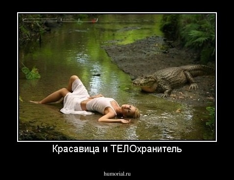 Красавица и ТЕЛОхранитель