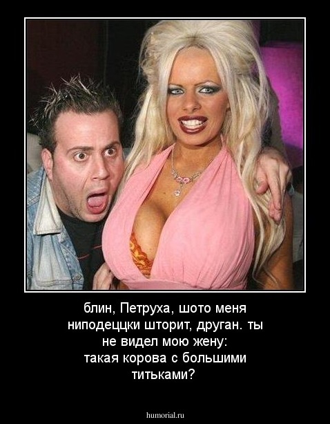 блин, Петруха, шото меня ниподеццки шторит, друган. ты не видел мою жену: такая корова с большими титьками?