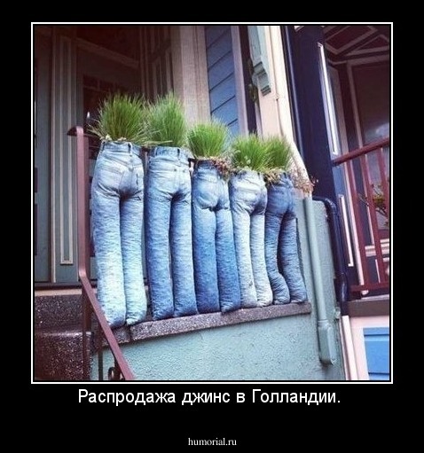 Распродажа джинс в Голландии. 