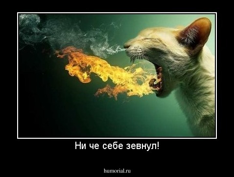Ни че себе зевнул!