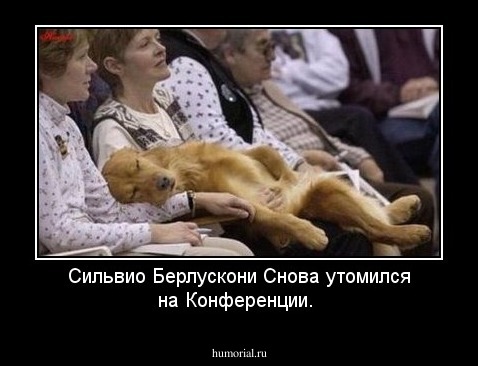 Сильвио Берлускони Снова утомился на Конференции.