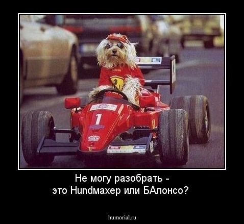 Не могу разобрать - это Hundмахер или БАлонсо?