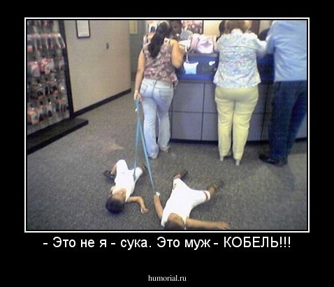 - Это не я - сука. Это муж - КОБЕЛЬ!!!