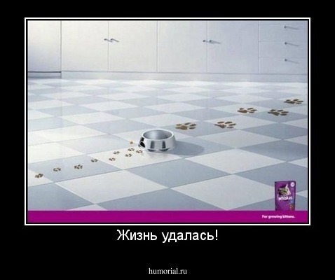 Жизнь удалась!