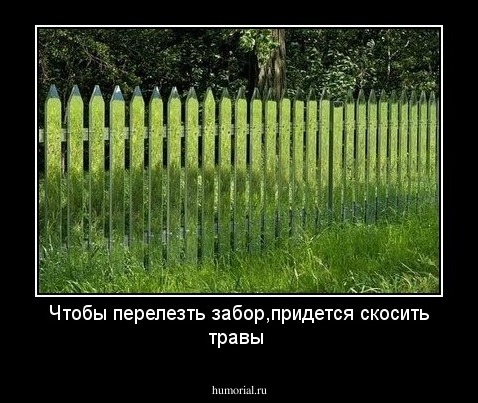 Чтобы перелезть забор,придется скосить травы 