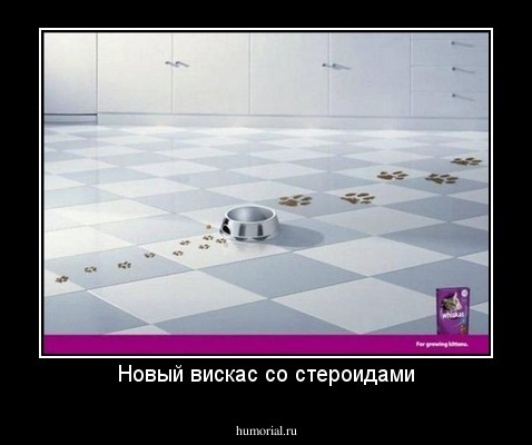 Новый вискас со стероидами