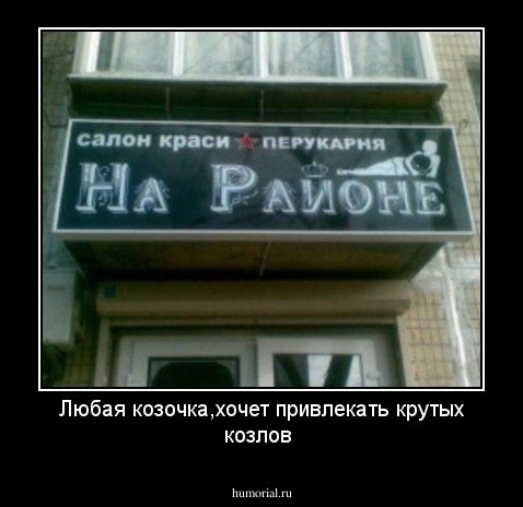 Любая козочка,хочет привлекать крутых козлов