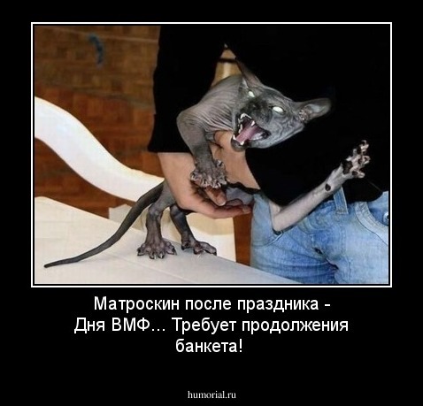 Матроскин после праздника - Дня ВМФ... Требует продолжения банкета!