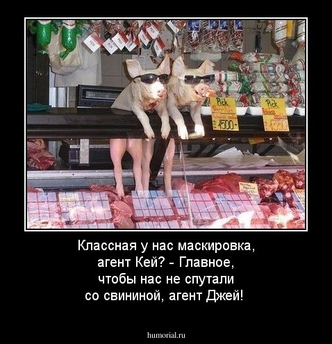 Классная у нас маскировка, агент Кей? - Главное, чтобы нас не спутали со свининой, агент Джей!