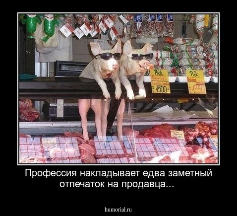 Профессия накладывает едва заметный отпечаток на продавца...