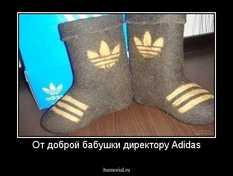 От доброй бабушки директору Adidas