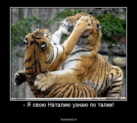 - Я свою Наталию узнаю по талии!