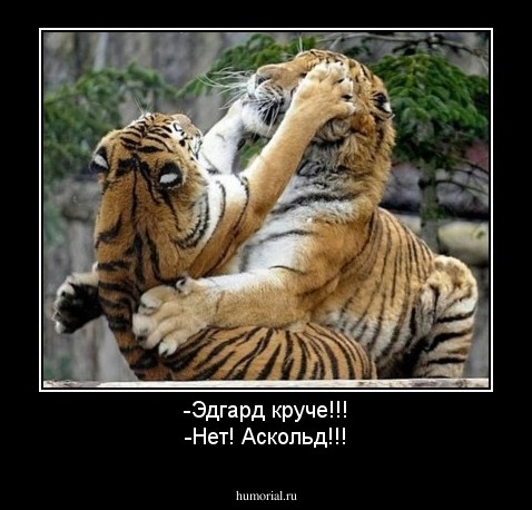 -Эдгард круче!!!
-Нет! Аскольд!!!