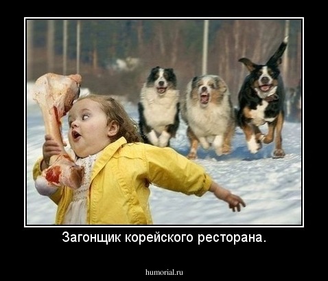 Загонщик корейского ресторана.