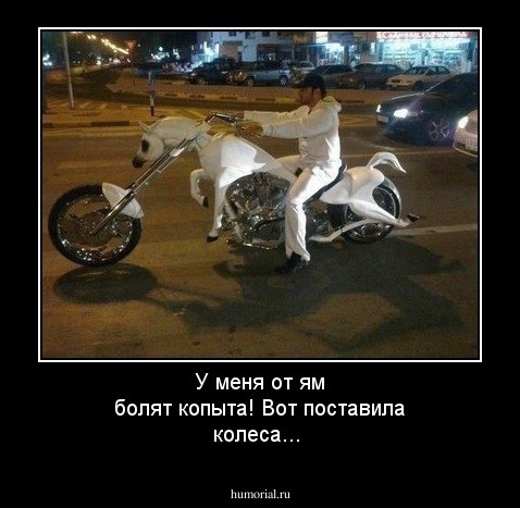 У меня от ям болят копыта! Вот поставила колеса...