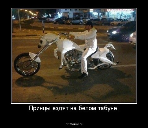 Принцы ездят на белом табуне!