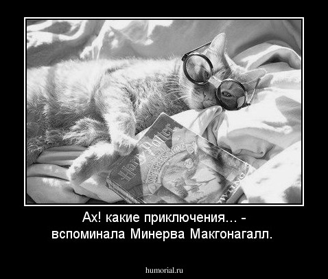  Ах! какие приключения... - вспоминала Минерва Макгонагалл.