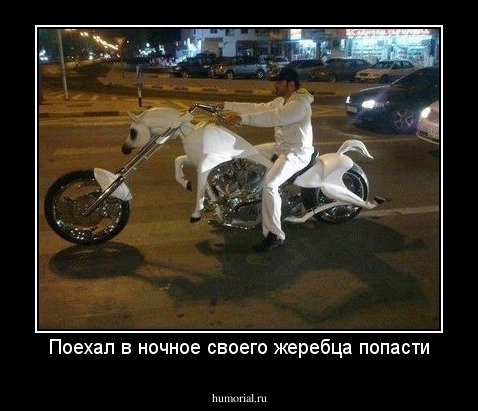 Поехал в ночное своего жеребца попасти