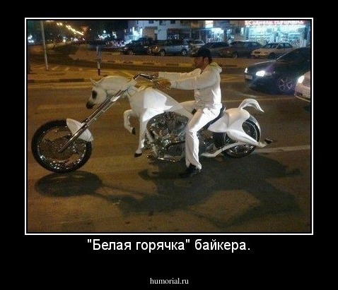 "Белая горячка" байкера.