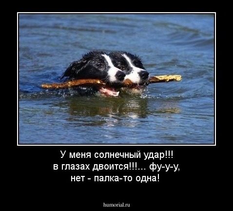 У меня солнечный удар!!! в глазах двоится!!!... фу-у-у, нет - палка-то одна!