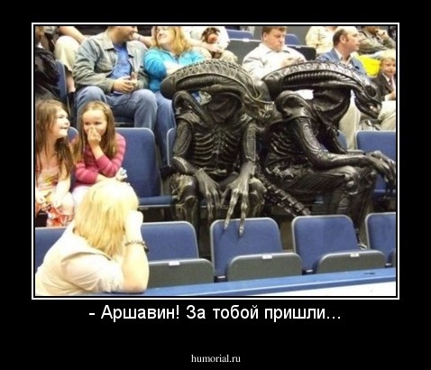 - Аршавин! За тобой пришли...