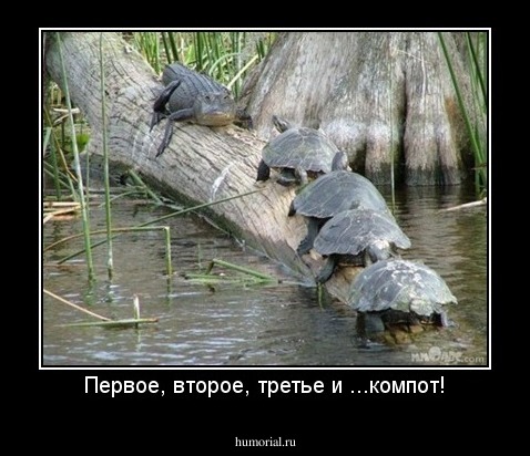 Первое, второе, третье и ...компот!