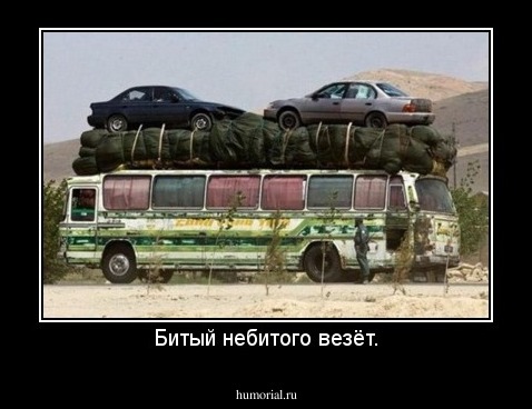 Битый небитого везёт.