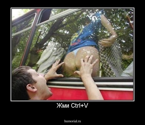 Жми Ctrl+V