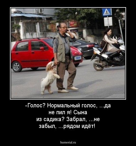 -Голос? Нормальный голос, ...да не пил я! Сына из садика? Забрал, ...не забыл, ...рядом идёт!