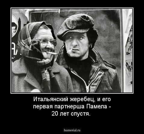 Итальянский жеребец, и его первая партнерша Памела - 20 лет спустя.