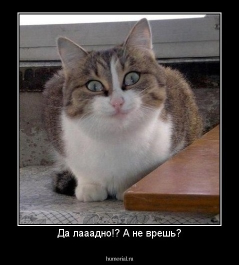 Да лааадно!? А не врешь?