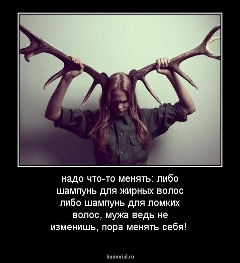 надо что-то менять:  либо шампунь для жирных волос либо шампунь для ломких волос, мужа ведь не изменишь, пора менять себя!