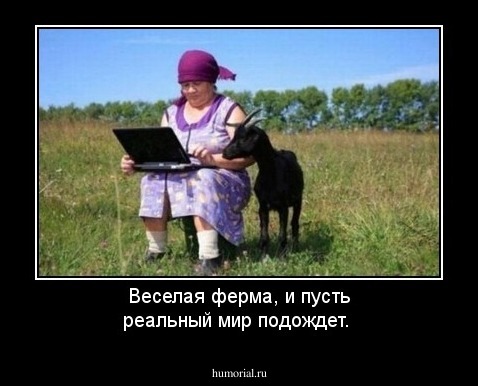 Веселая ферма, и пусть реальный мир подождет.