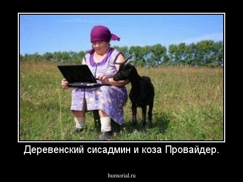 Деревенский сисадмин и коза Провайдер.