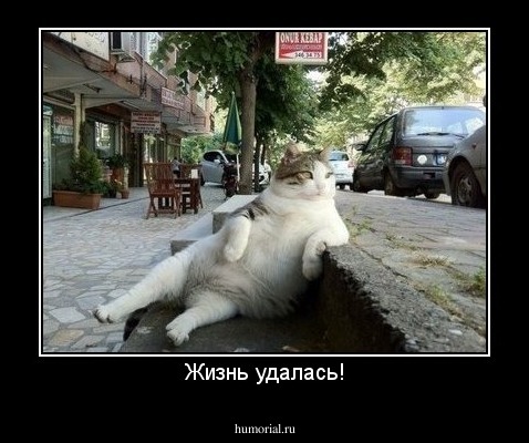 Жизнь удалась!