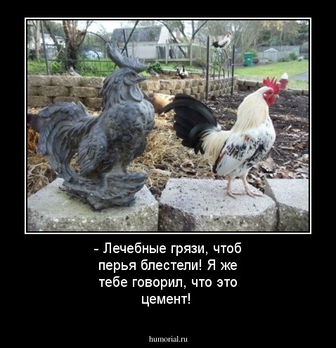 - Лечебные грязи, чтоб  перья блестели! Я же тебе говорил, что это цемент!