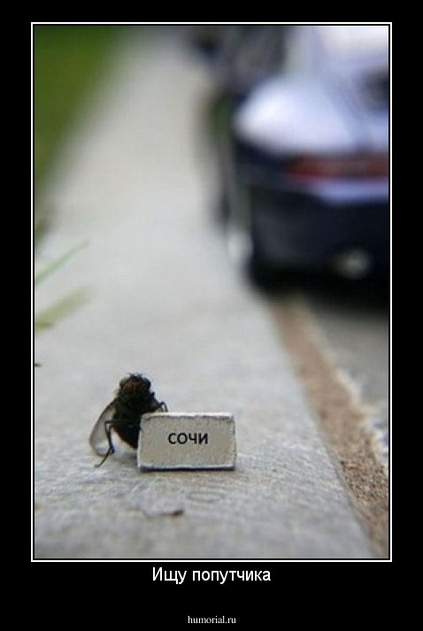 Ищу попутчика