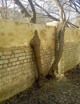 M704_large