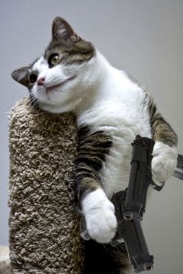 M984_large
