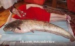 Ты и только ты -  Рыба моей мечты!