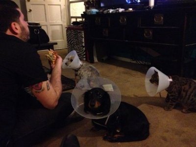 M10365_large