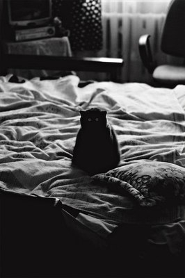 M10487_large